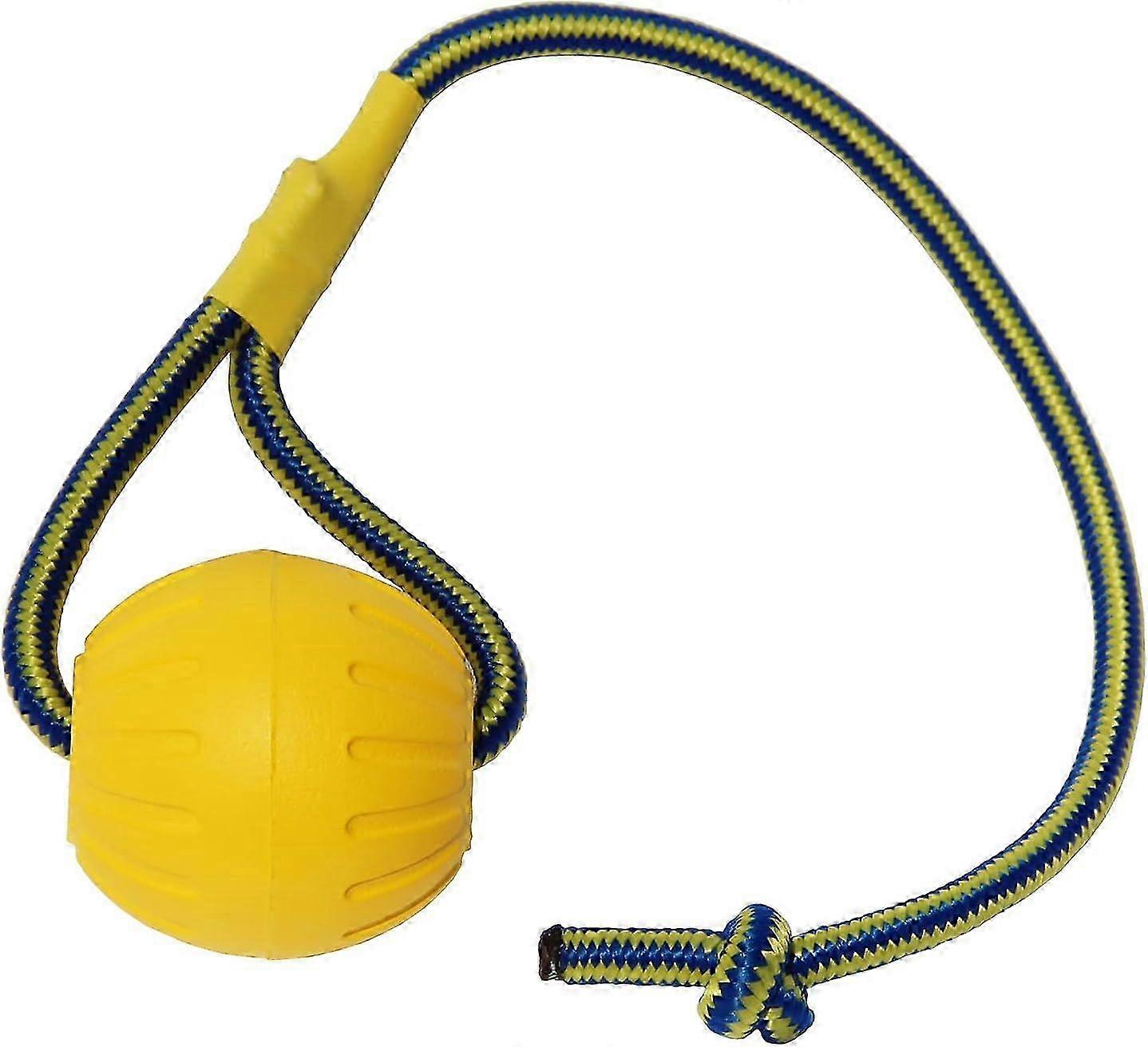 İpli Köpek Topu, Köpük Köpek Eğitim Topu, Yüzen Köpek Topu, Büyük Köpek için Küçük Römorkör Oyuncak (Büyük Top)