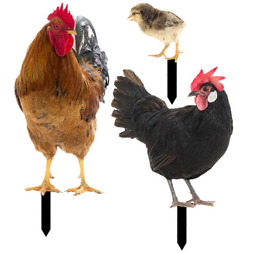 Yard Chicken Stake Acrylic Garden Insert for Lawn Decor 5Sets Collection