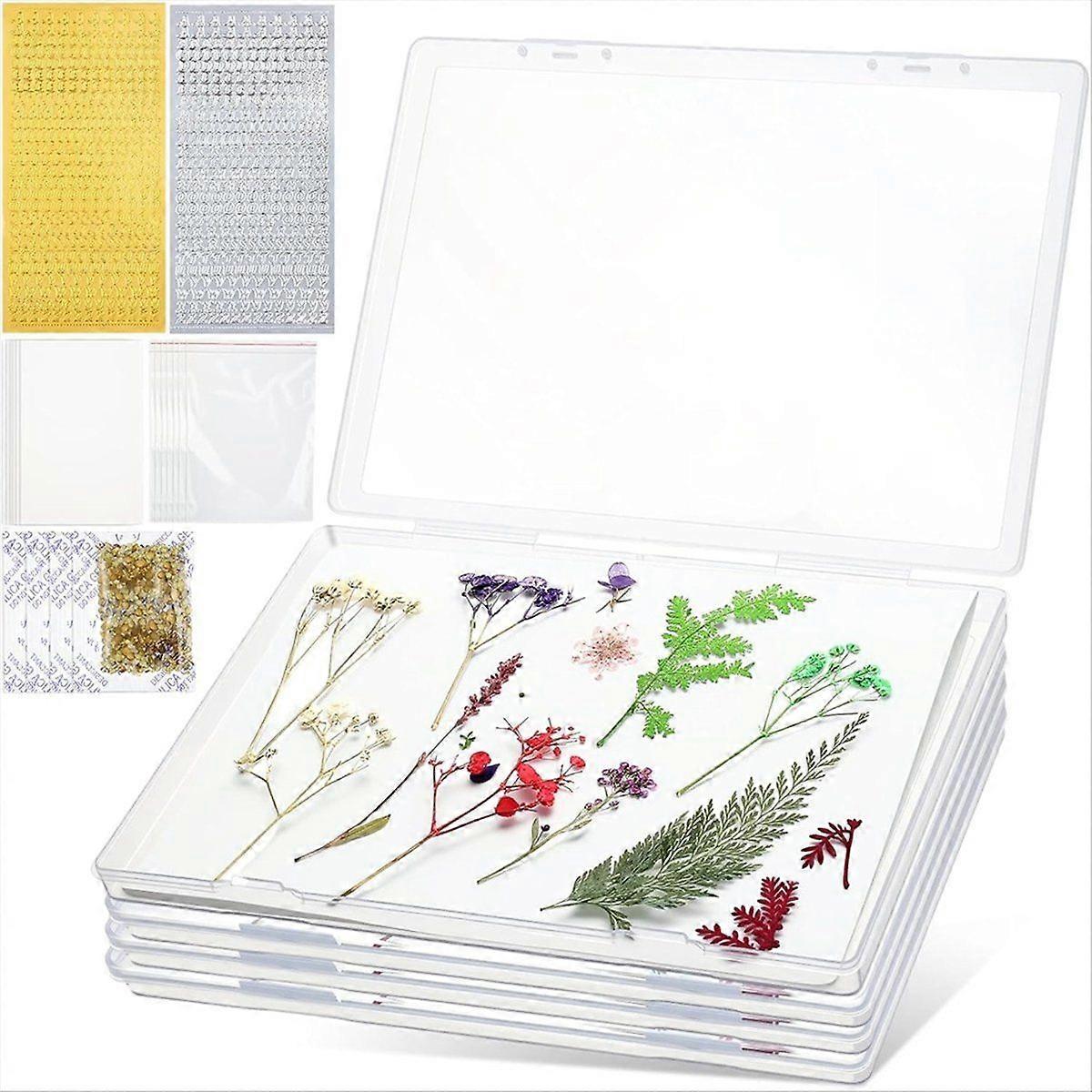 5 Pcs Dried Flower Storage Set with Storage Box for A4 Size Blotting Paper Letter Stickers,for Keep