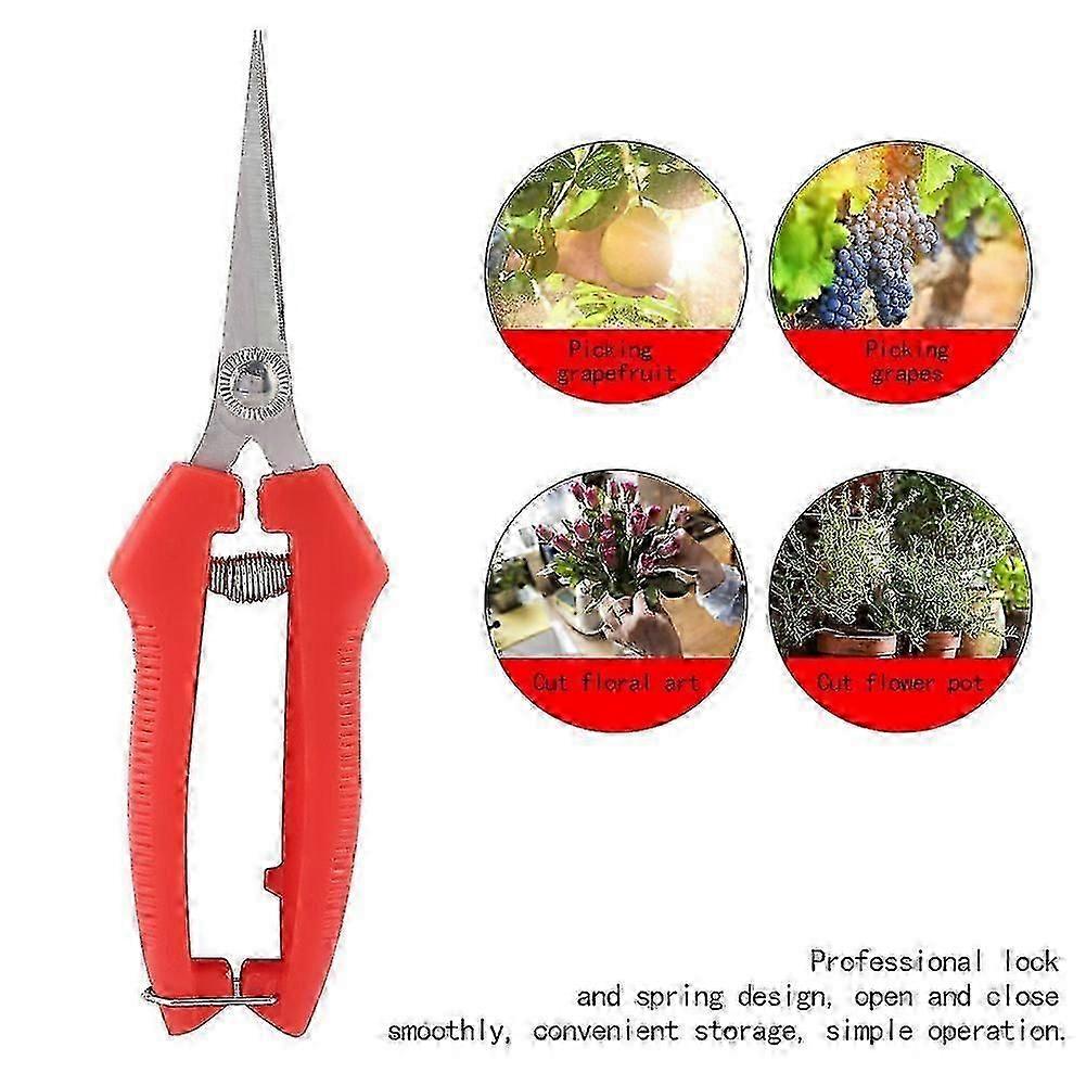 Fruit Picking Scissors Garden Cutter Flower Shears Hand Pruner Equipment 7