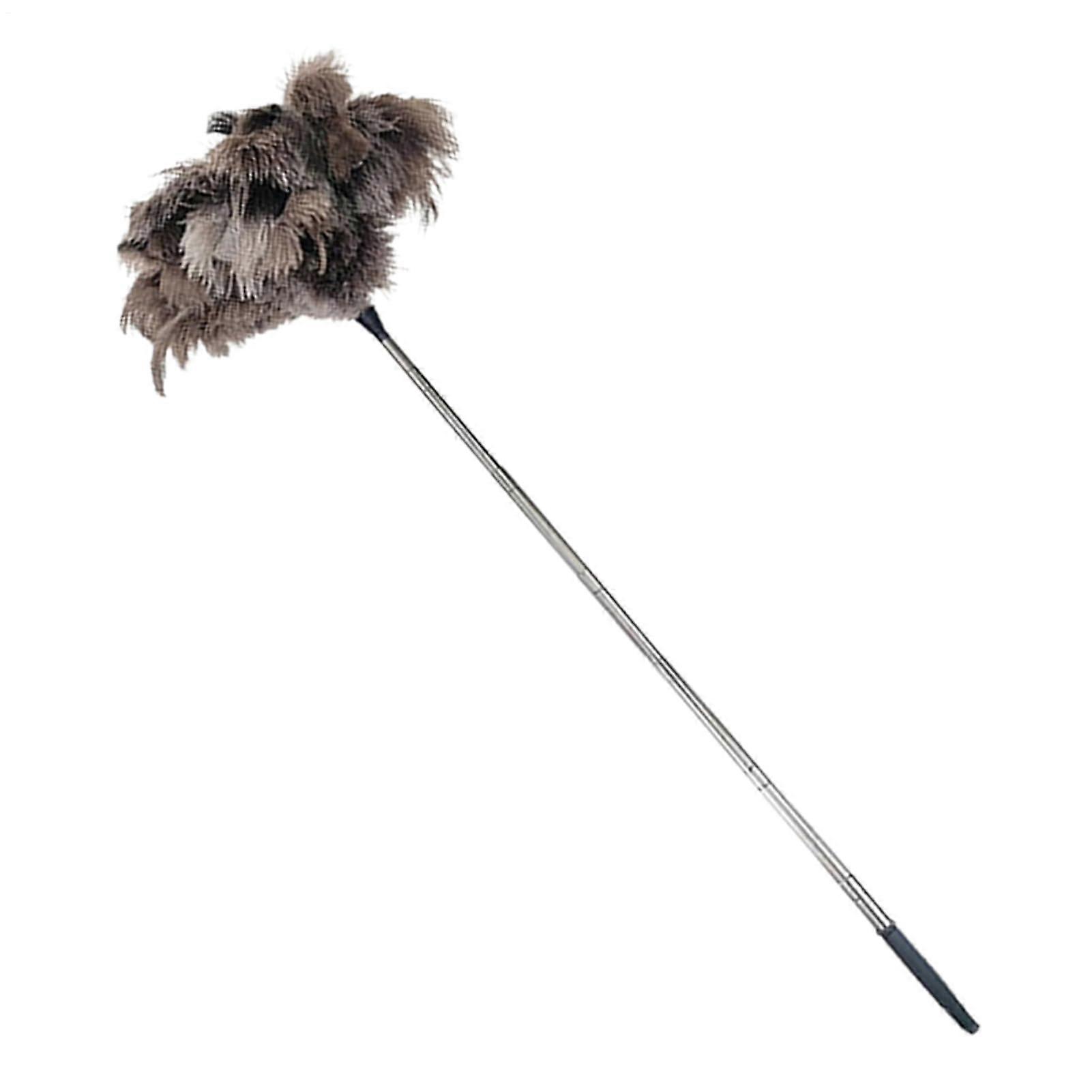 Feather Duster with Extendable Long Handle, Washable Microfiber Head for Ceiling Fans and Cobwebs