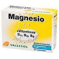 Magnesium and Vitamins B1,2,6 24 tablets