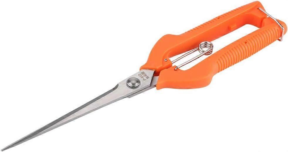 Professional Pruning Shears with Ergonomic Grip for Precision Cutting and Versatile Garden Use