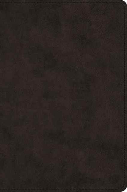 Esv Large Print Bible Leather  fine binding Book