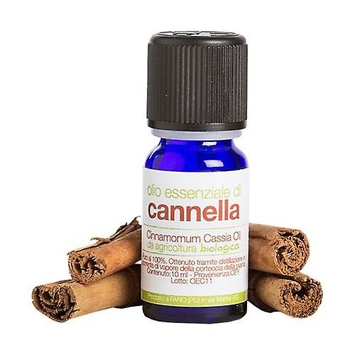 Organic Cinnamon Essential Oil 10 ml of oil (Cinnamon)