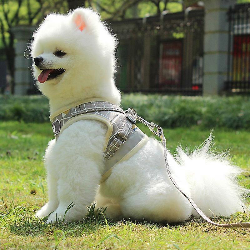 Harness Cat Harness Dog Checkered Leash