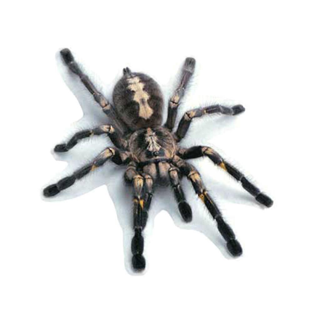 3D Spider Car Sticker Window Sticker Decal Car Styling Vivid Funny Scorpion Lizard DIY Three Dimensional Realistic Modification