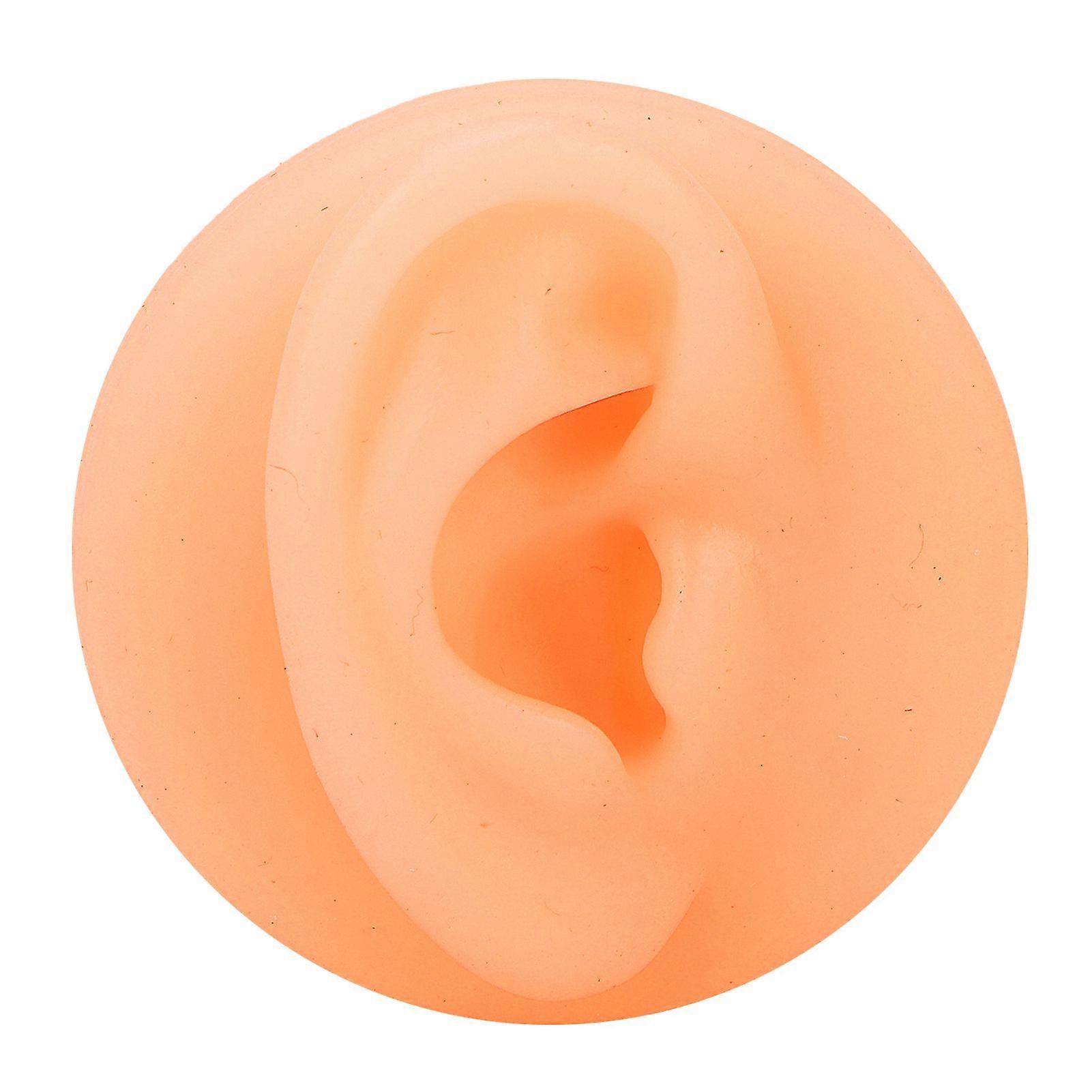 Silicone Ear Acupuncture Practice Model Reusable Simulation Ear Display Model False Ear ModelRight Ear
