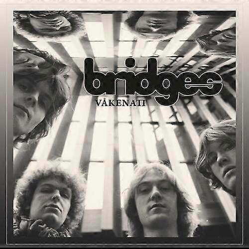 bridges Vkenatt CD (2020) NEW