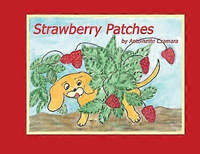 Strawberry Patches
