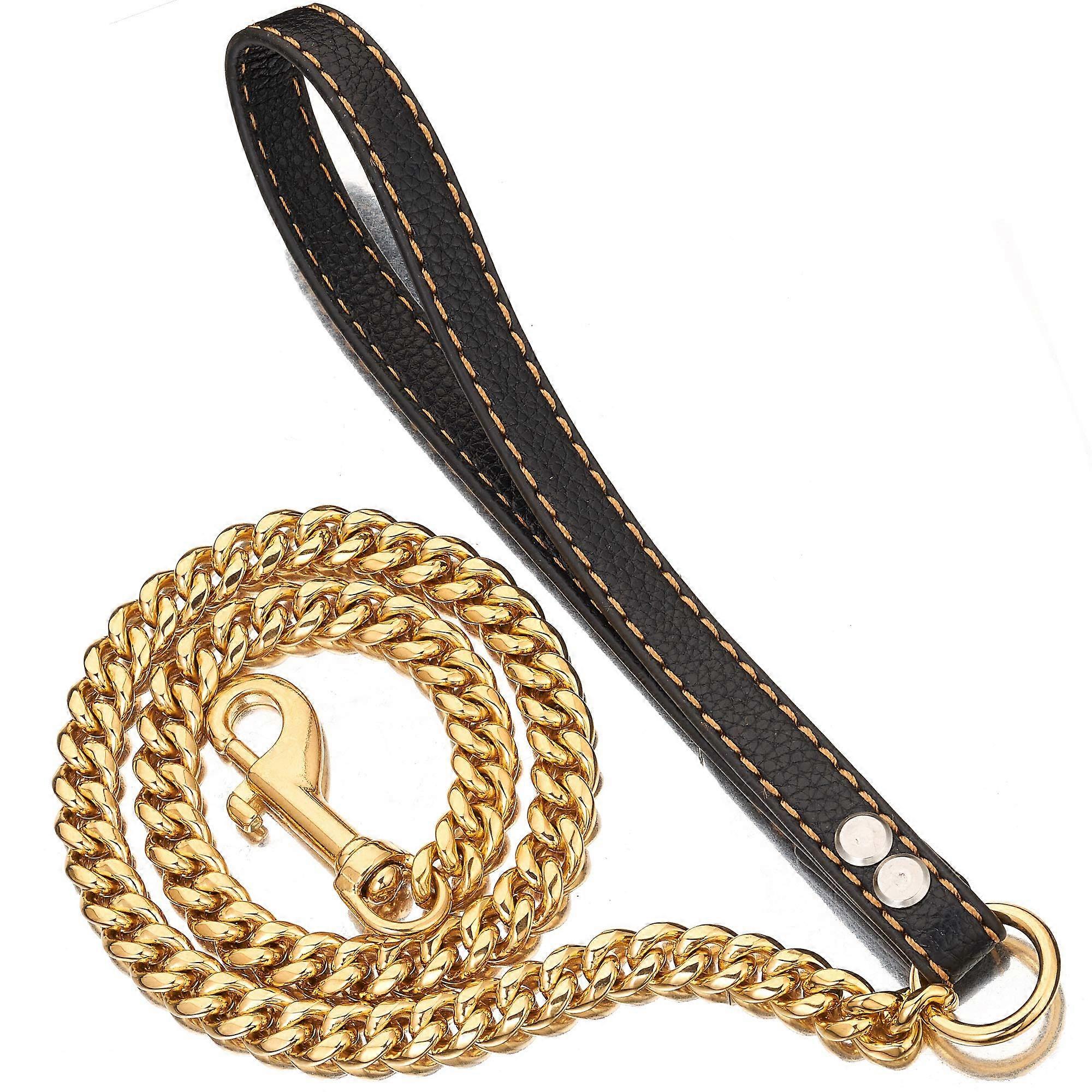 Metal Chew Proof Dog Leash for Large Dogs Medium Small Dogs 5ft