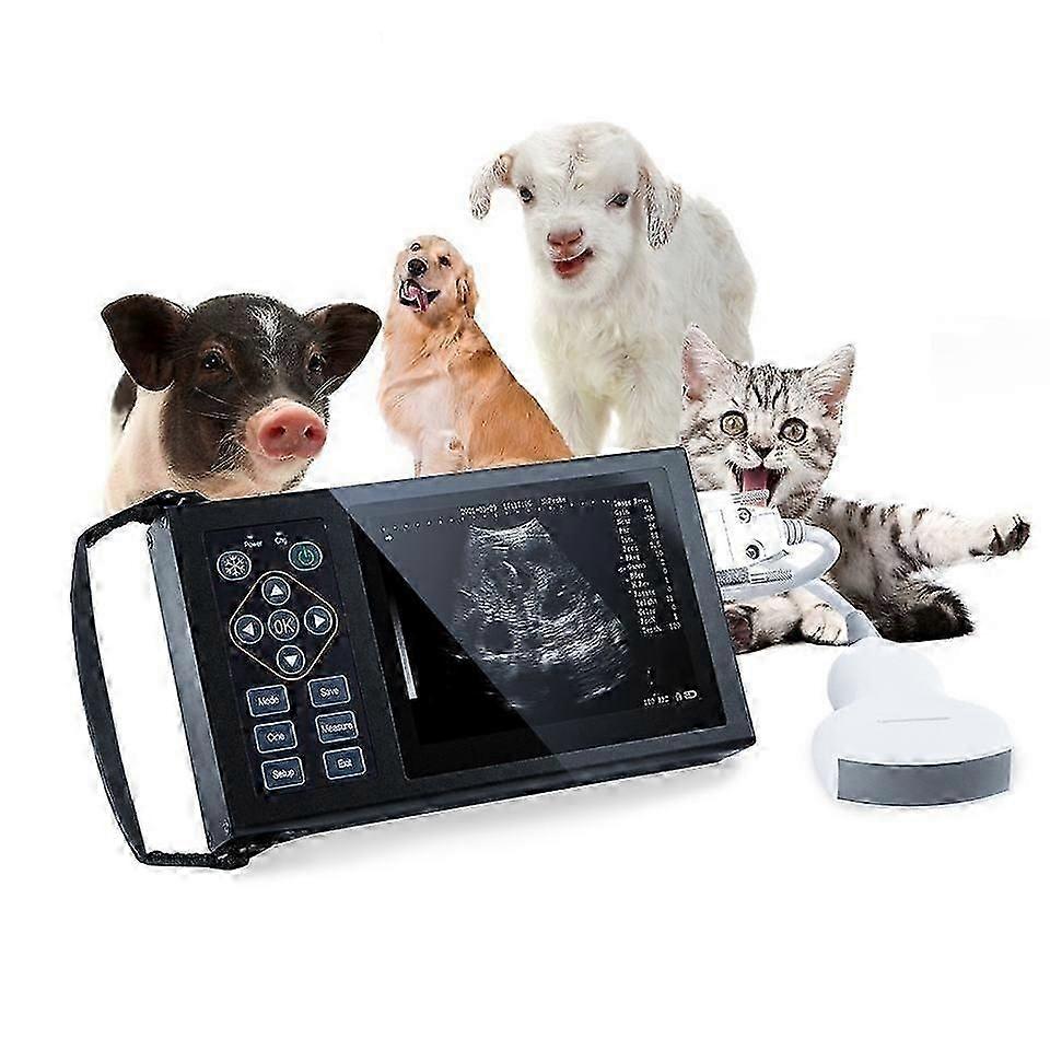 Portable Animal Ultrasound Scanner