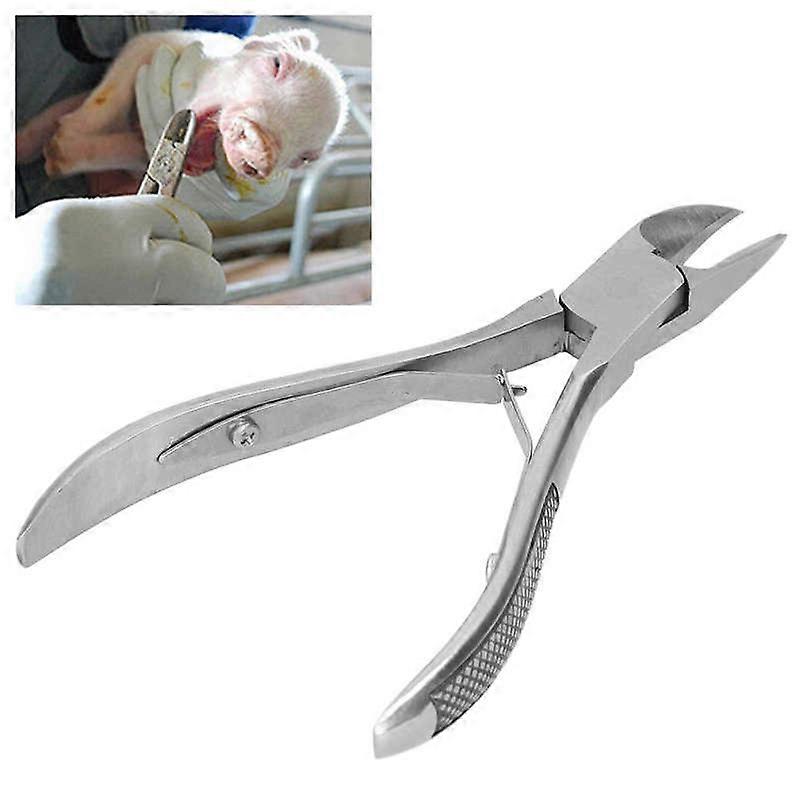 Piglet Tooth Tongs Stainless Steel Tooth Pliers Stick Finger Equipment Livestock Equipment for Pig