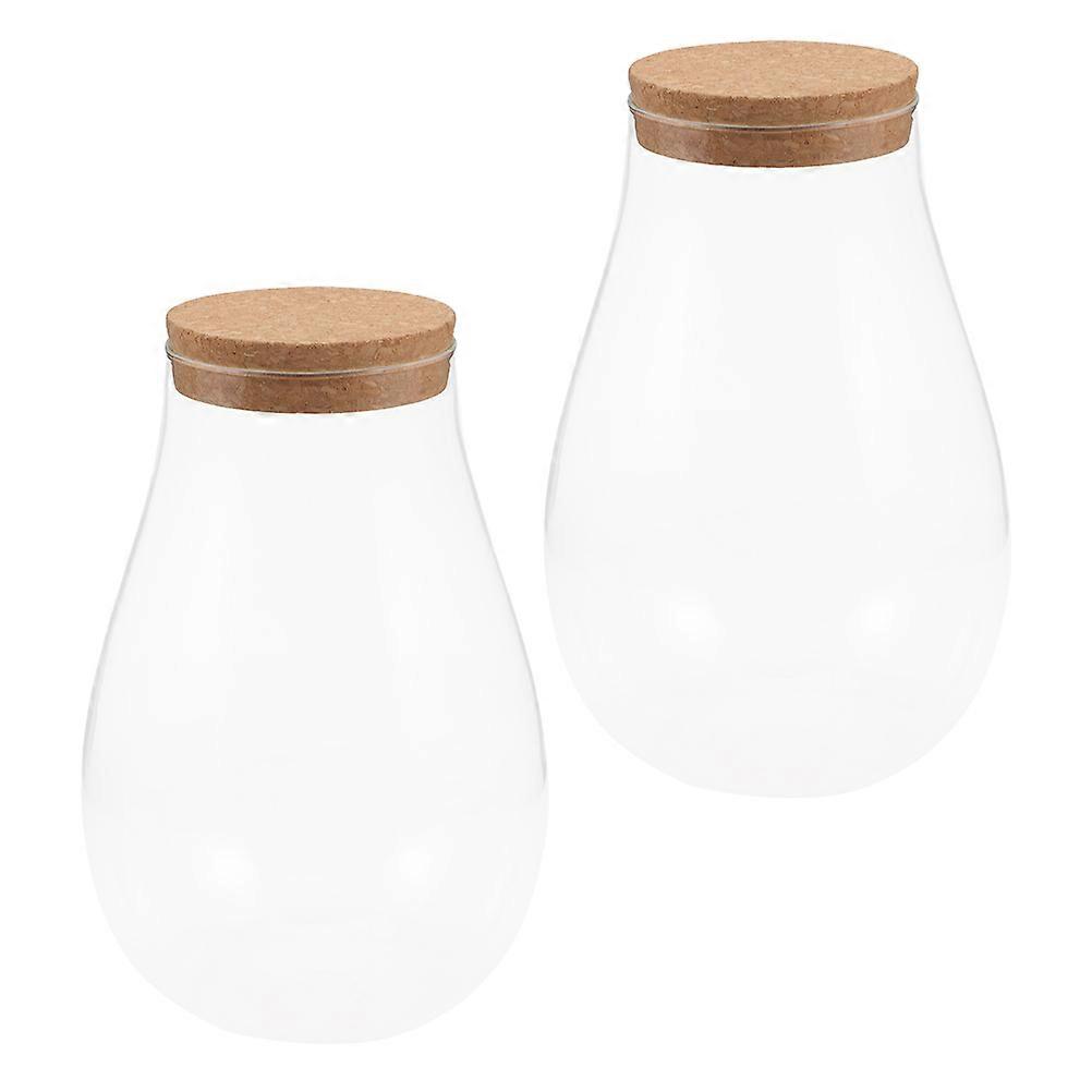 2pcs Empty Glass Bottle for Storage Use Transparent Micro Landscape Bottle Vase 3.5x6.5