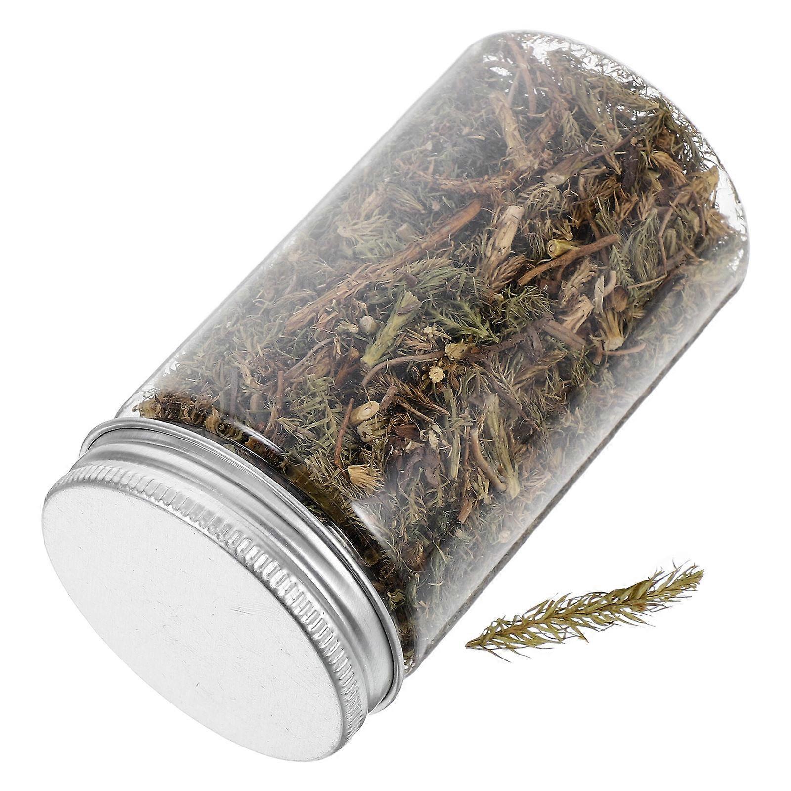 Fake Grass for Crafts Plastic Plants for Decoration 5Sets