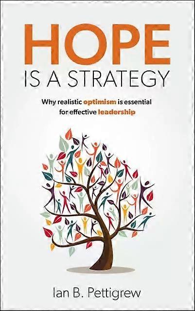 Hope Is A Strategy by Ian B. Pettigrew Paperback