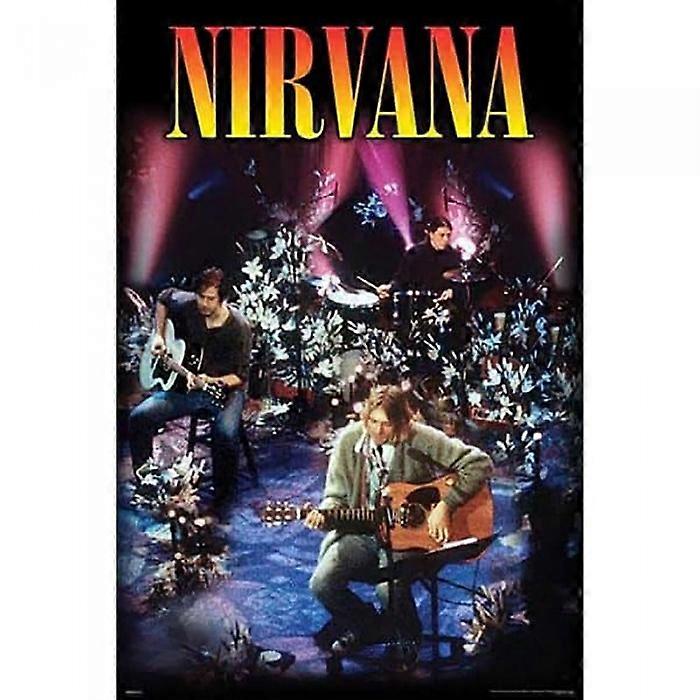 Nirvana Unplugged Poster