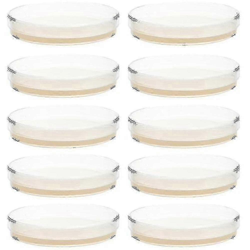 10pcs Prepoured Agar Plates Petri Dishes With Agar Experiment