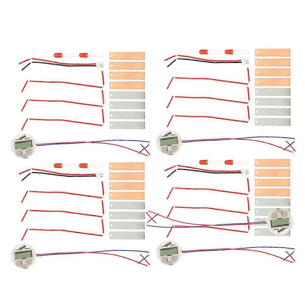 Fruit Battery Experiment DIY Science Kit for Kids 4Sets Educational Stem Kit