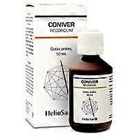 Coniver recordum funciones cognitivas 50 ml