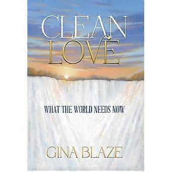 Clean Love - Gina Blaze - Hardcover - en Book
