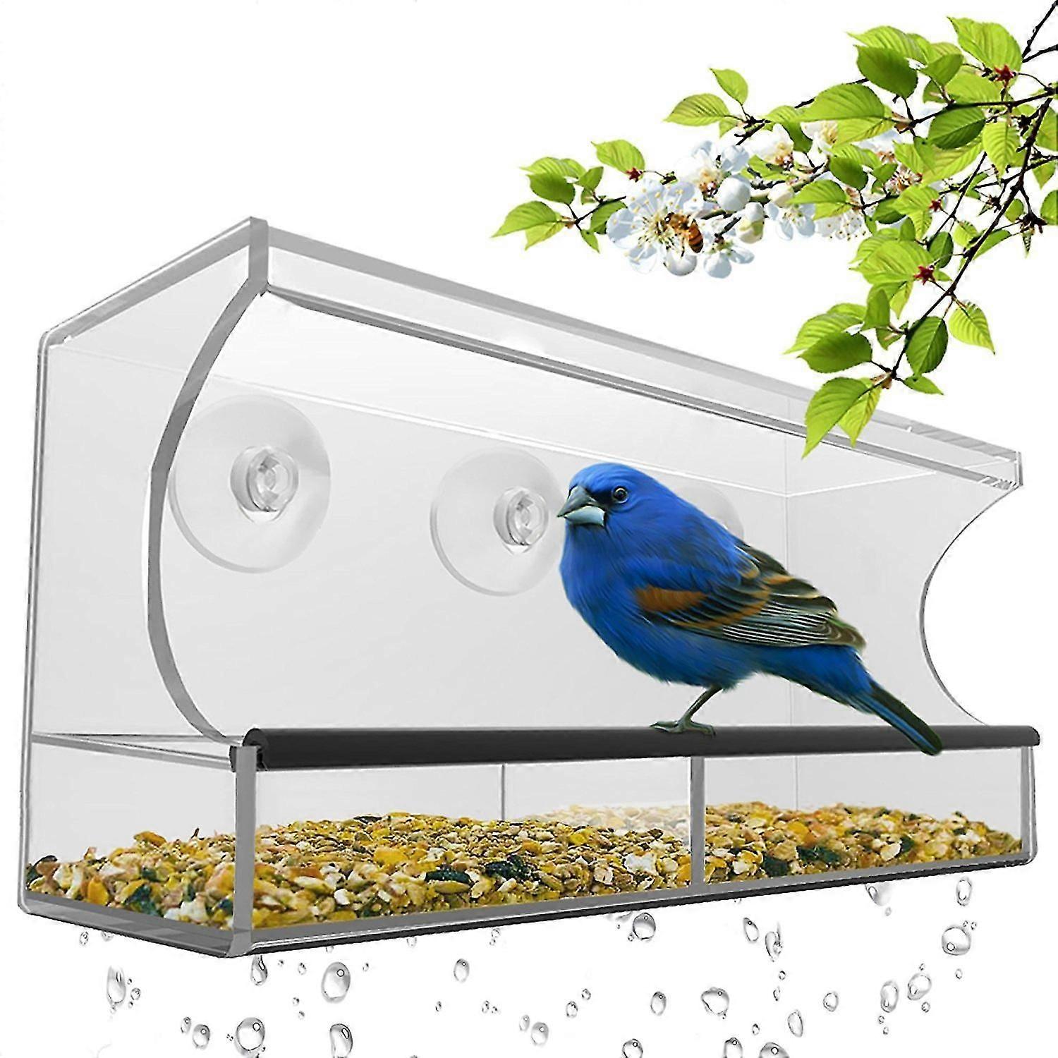 Window Bird Feeder Bird Feeder With Removable Tray, Drainage Holes And Suction Cups