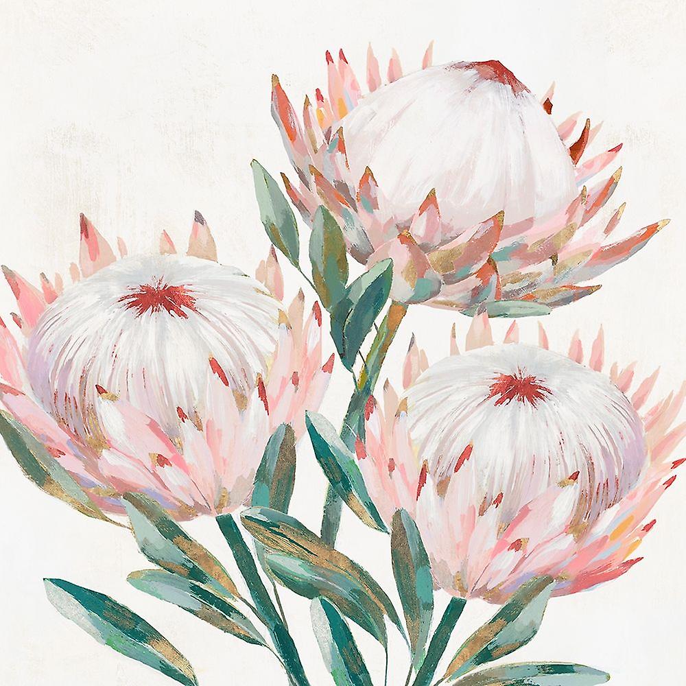 King Protea II Poster