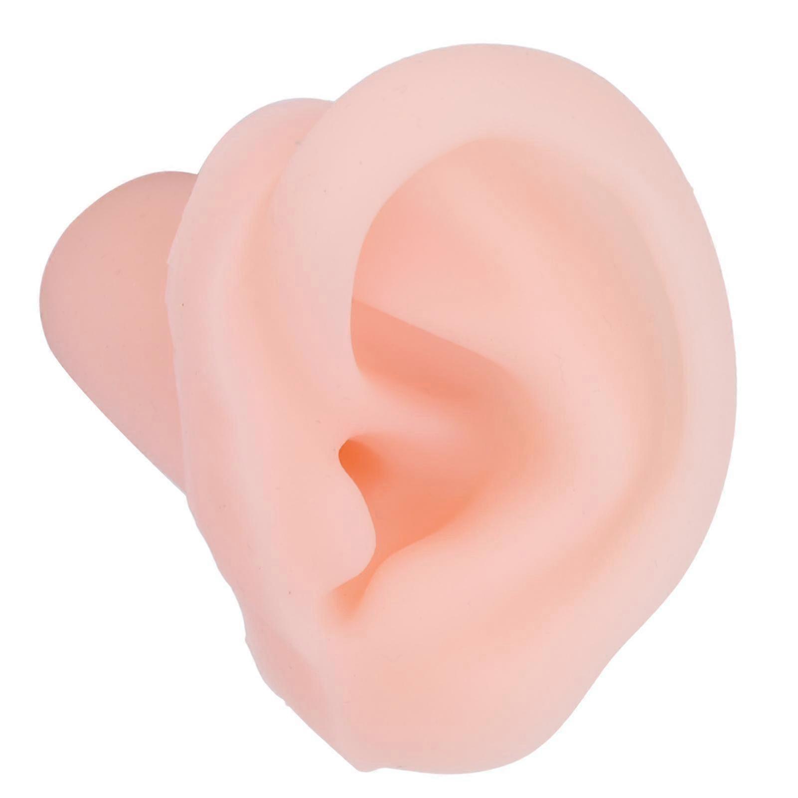 2024 Silicone Ear Model Simulation Multifunctional Left Ear Display Tool