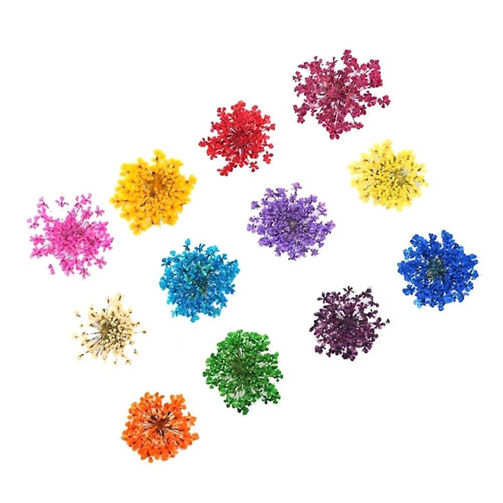 12 Colors Flower Nail Decorations With Real Dried Floral Applique Three-Dimensional Design Ideal For Art Creation 1 Set