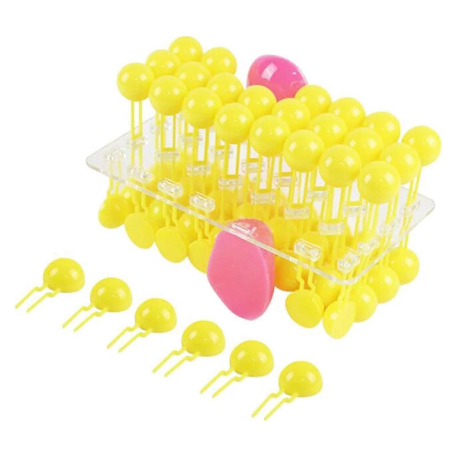Cell Membrane Model 3D Phospholipid Bilayer Educational Kit for Biology Classroom HandsOn Learning