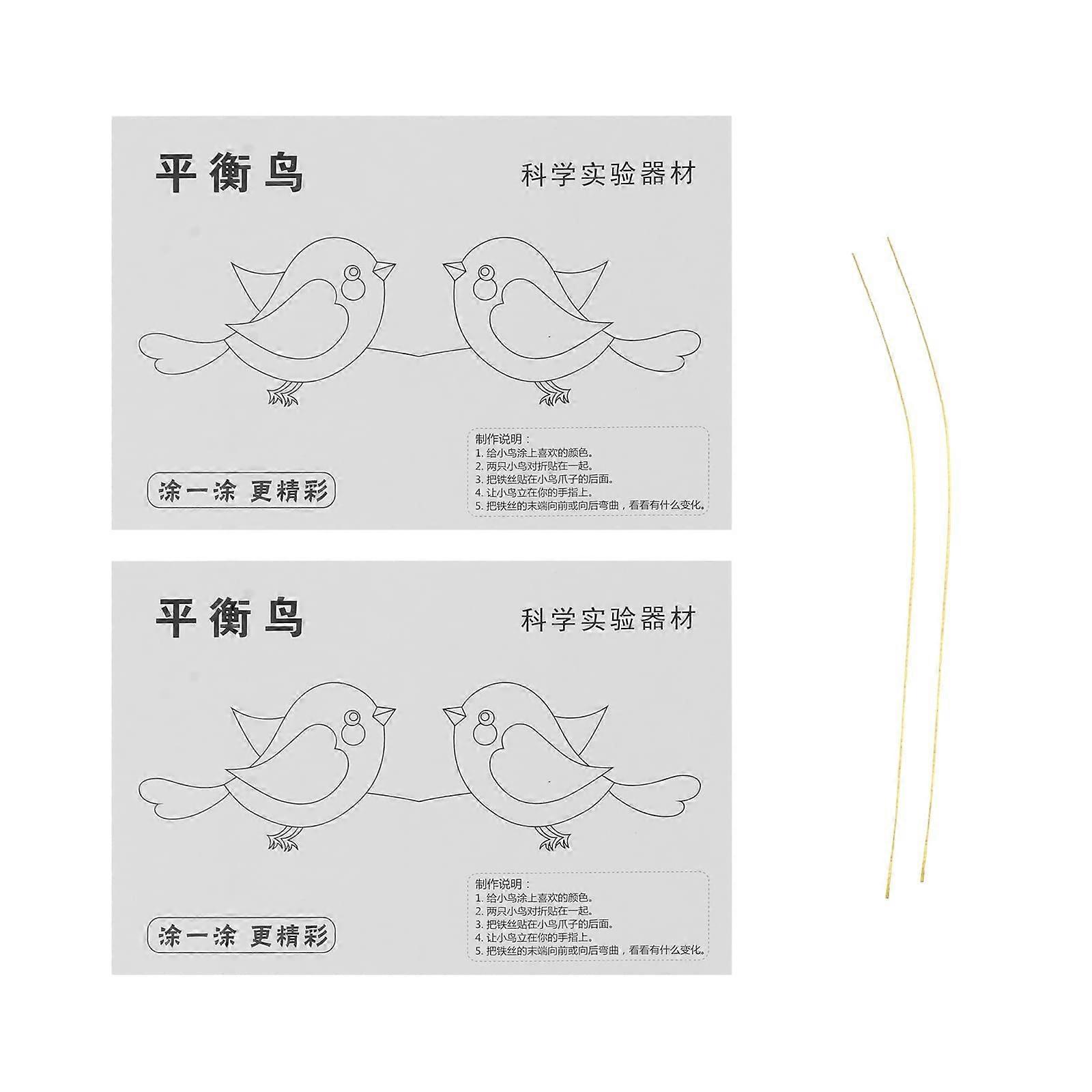 2 Boxes STEM Science Experiment Kit DIY Paper Balance Bird Toy for HandsOn Classroom Learning