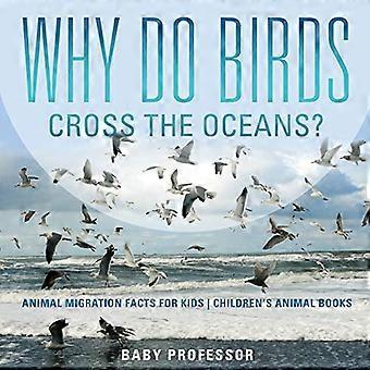 Waarom kruisen vogels de oceanen? Dieren migratie feiten voor kinderen-kinderen ' s dieren boeken