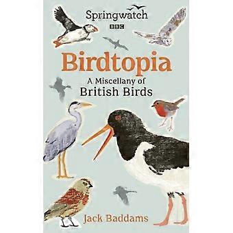 Springwatch Birdtopia - Jack Baddams - Hardcover - English Book - Sports & Hobbies