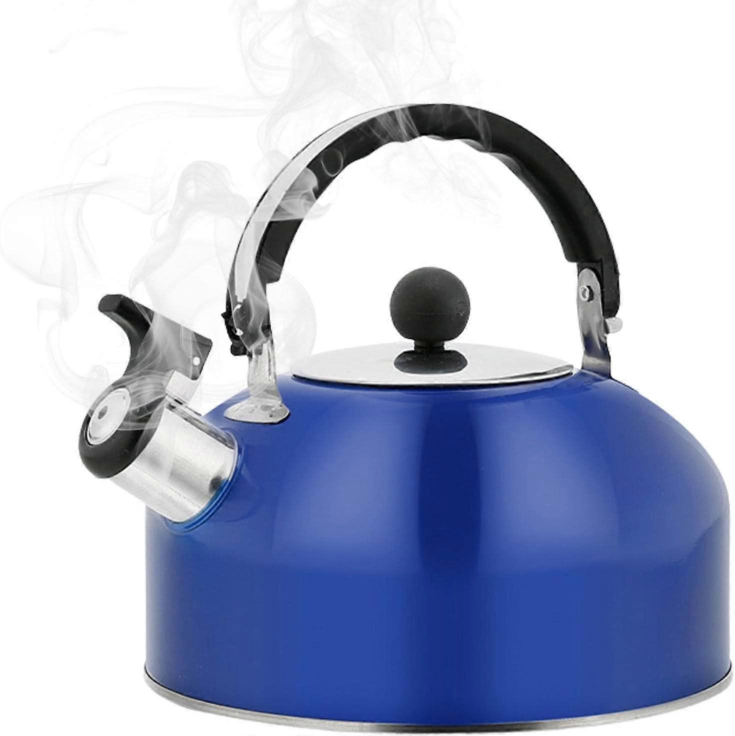 Whistling Kettle Teapot Portable Water Kettles with Heat-Insulated Handle Spout - Ergonomic Handle Teapot for Home Office Restaurant
