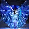 Copii Aripi LED Fluture Aripi de zână Light Up Performance Costum 2 culori