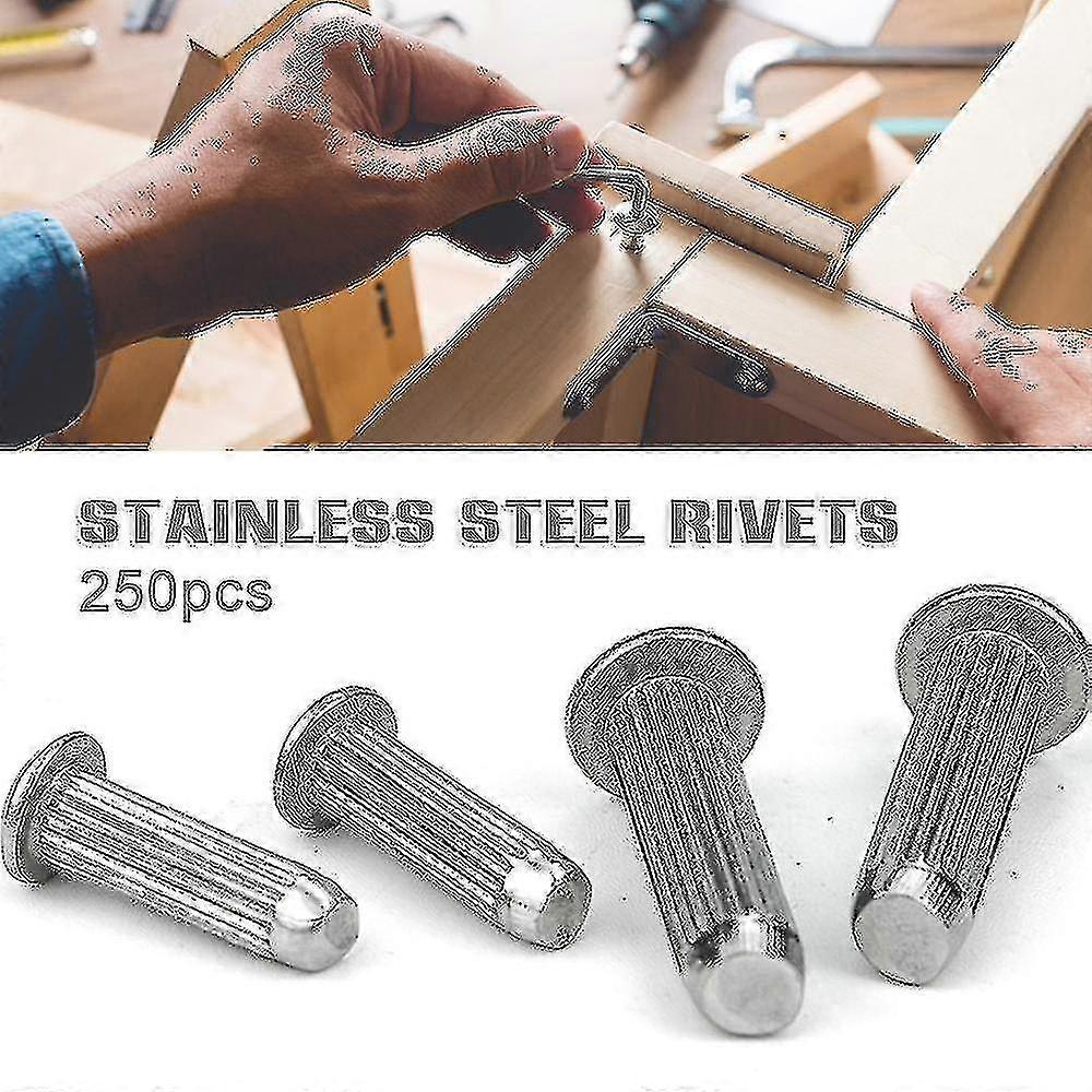 250pcs Solid Rivets Set Stainless Steel Knurled Rivets Iron Half Round Rivets
