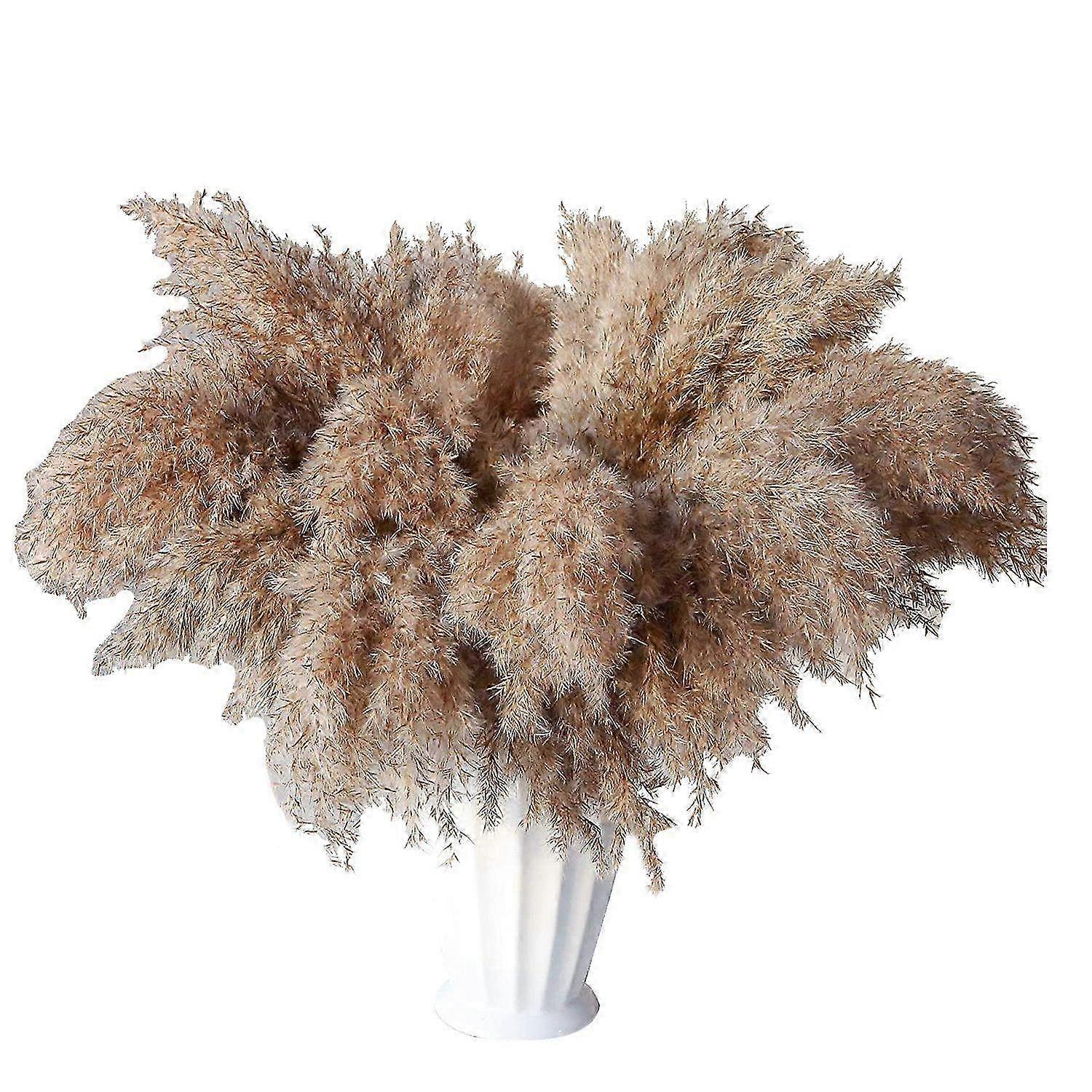 30 hastes seca Pampas grama, Wild Pampas Grass Fluffy Pampas Floral, 17 polegadas Bulk Pampas Grass Decor