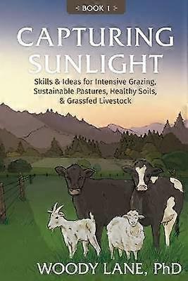 Capturing Sunlight Book 1