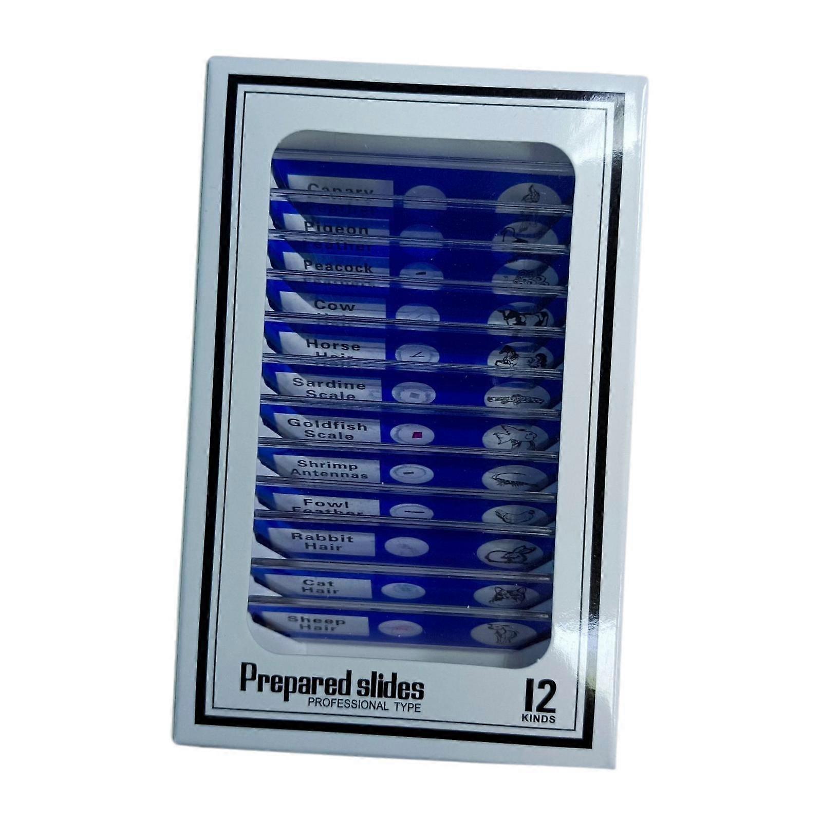 12x Prepared Microscope Slides,Educational Early Learning,Microbiology Slides