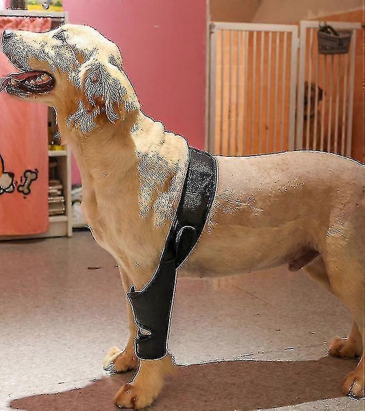 Pet Dog Knee Brace For Acl Knee Cap Dislocation Arthritis Keeps The Joint Warm Extra Support