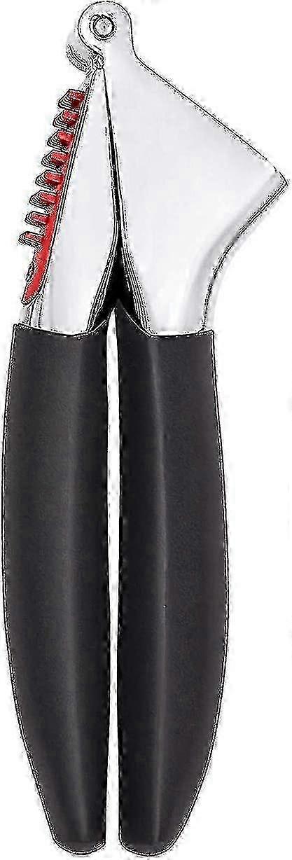 Good Grips Garlic Press - Easy-to-use Kitchen Tool For Crushing Garlic