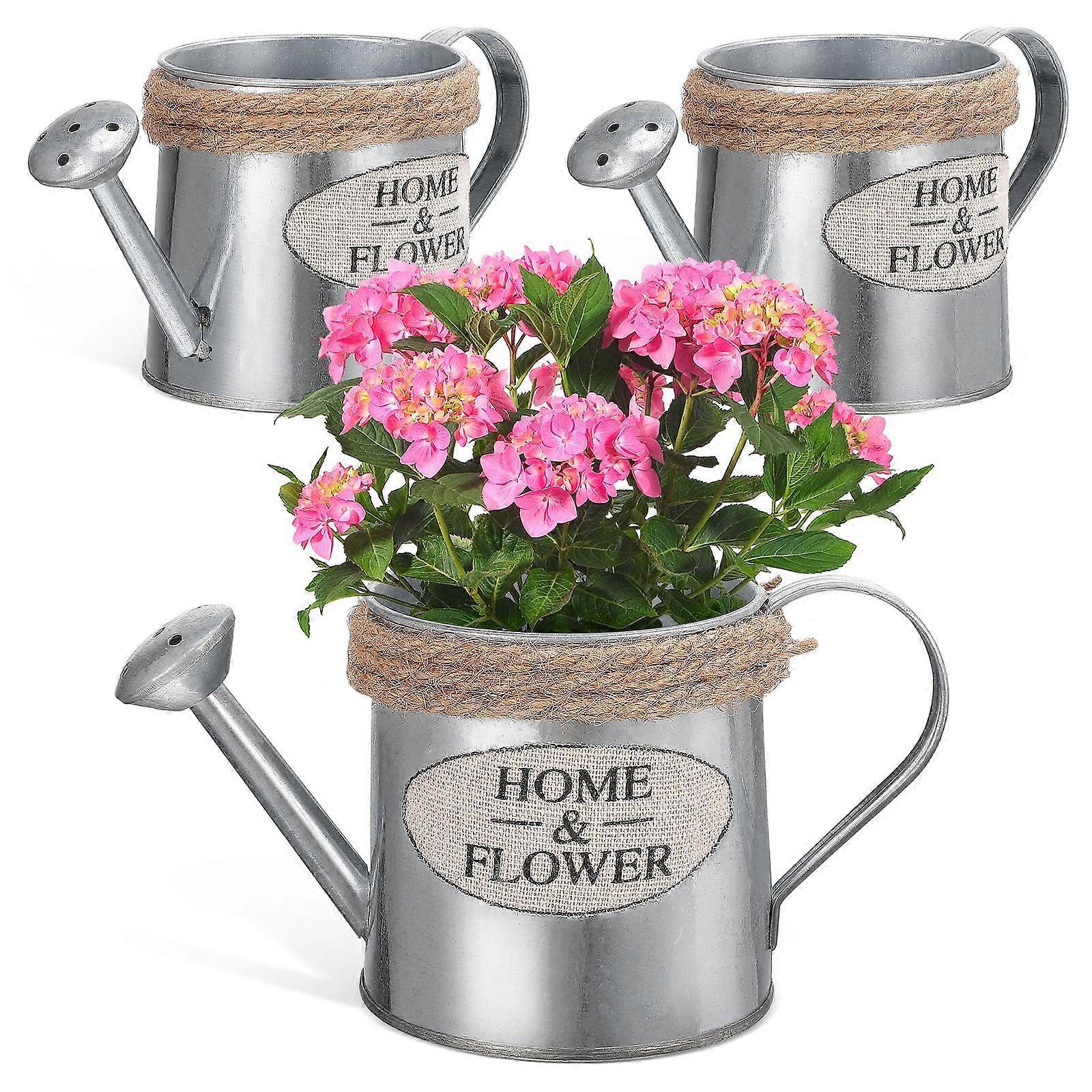3pcs Mini Watering Can Flower Vase Decorative Pitcher Vase Iron Flower Pot Rustic Watering Can Table Decor