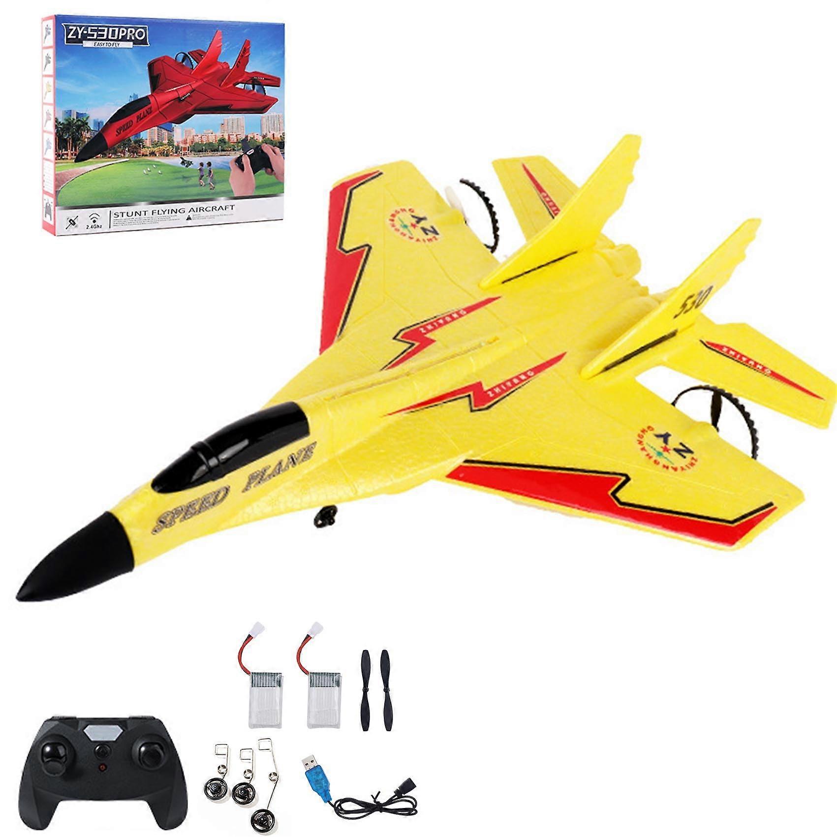 ZY 530 Pro RC Plane, 2.4GHz, 2 Batteries, LED, Gyro, for Beginners (A)