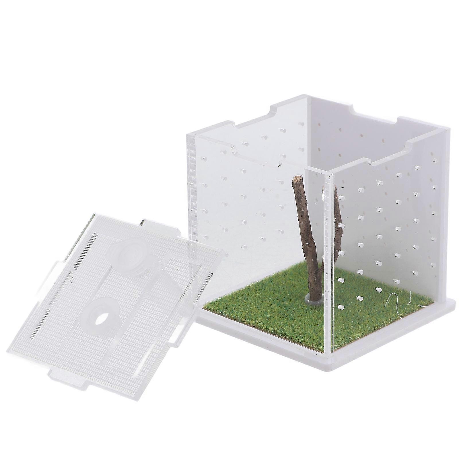 Jumping Breeding Box Acrylic Spider Habitat for Feeding 3Pcs Container