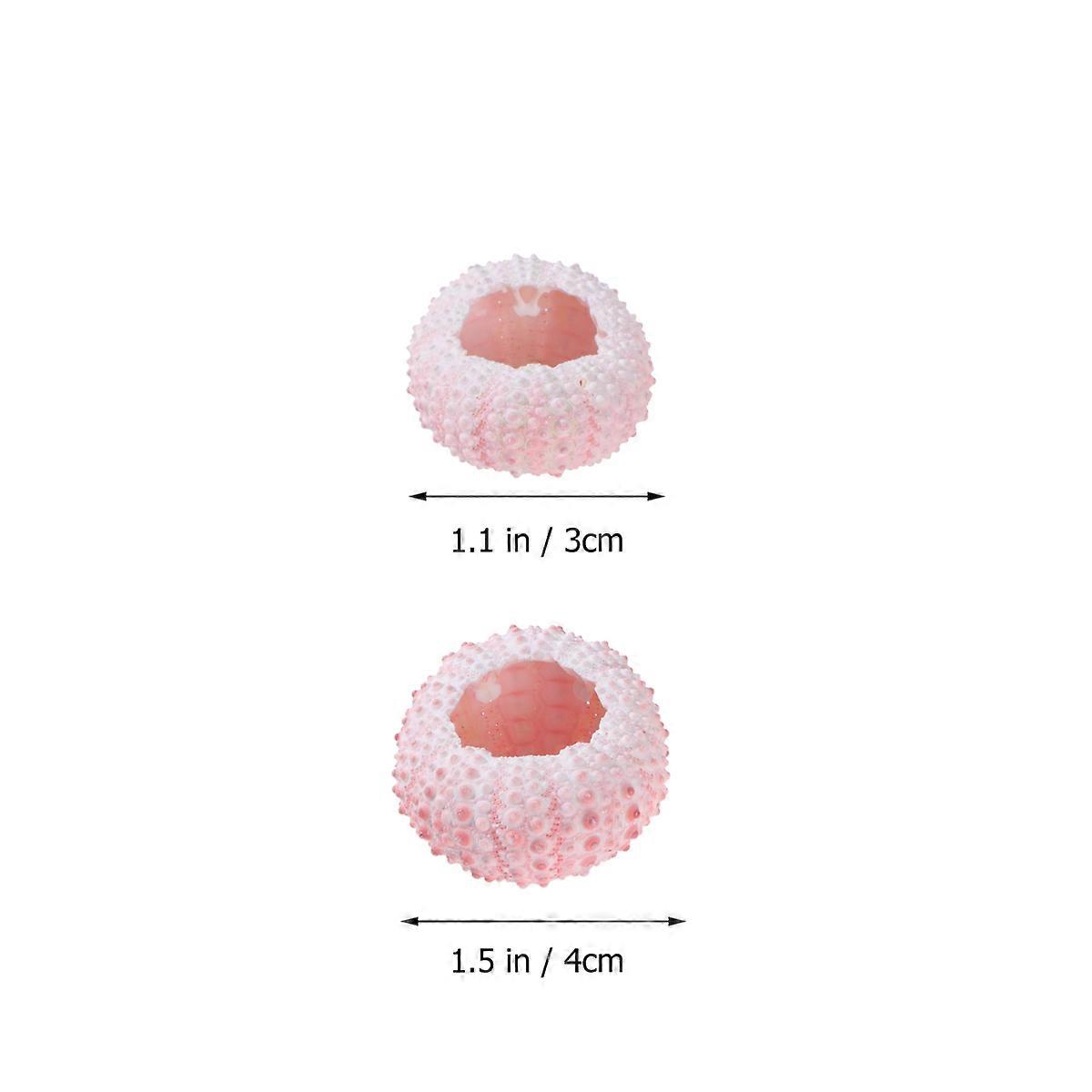 Air Plants Holder 6 Pcs 3/4CM Natural Sea Urchin Shells Conch Shells Balcony Handmade Design Small Shape Tillandsia Containers