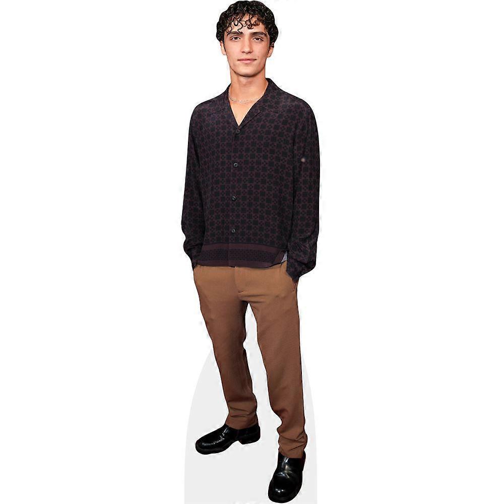 Levi McConaughey (Brown Trousers) Cardboard Cutout (lifesize OR mini size). Standee. Stand Up.