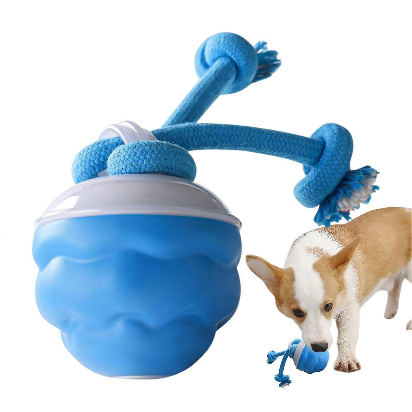 Interactive Dog Ball with Automatic Rolling Motion, LED Lights and BiteResistant Design for Medium and Large Dogs