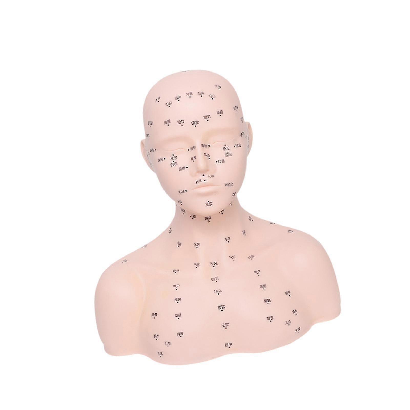Training Mannequin Head Professional Versatile Massage Practice Head for SPA