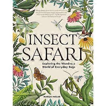 Insect Safari Exploring the Wondrous World of Everyday Bugs
