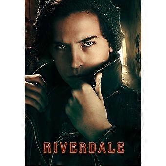 RIVERDALE Jigsaw Puzzle ZRC2195